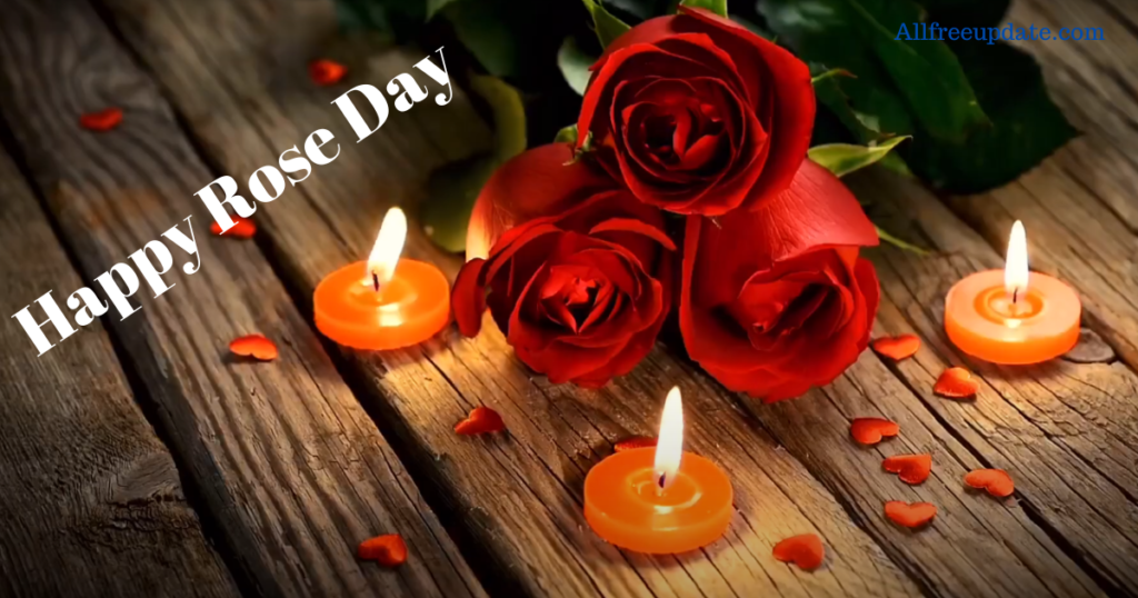 Rose Day 2024 Valentine day